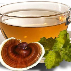 trà linh chi hàn quốc