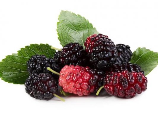 bộ rượu trái cây hàn quốc 