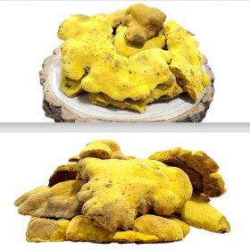 nấm thượng hoàng hàn quốc