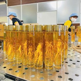 Set Rượu Nhân Sâm Hàn Quốc