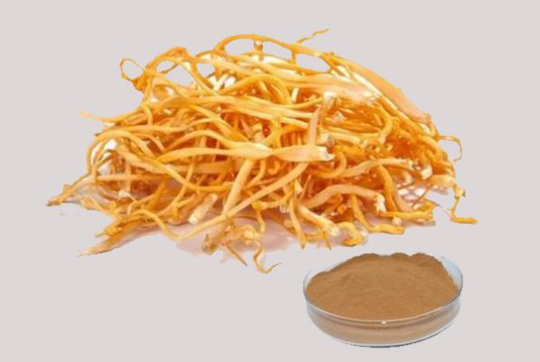 Bột Đông Trùng Hạ Thảo Nguyên Chất